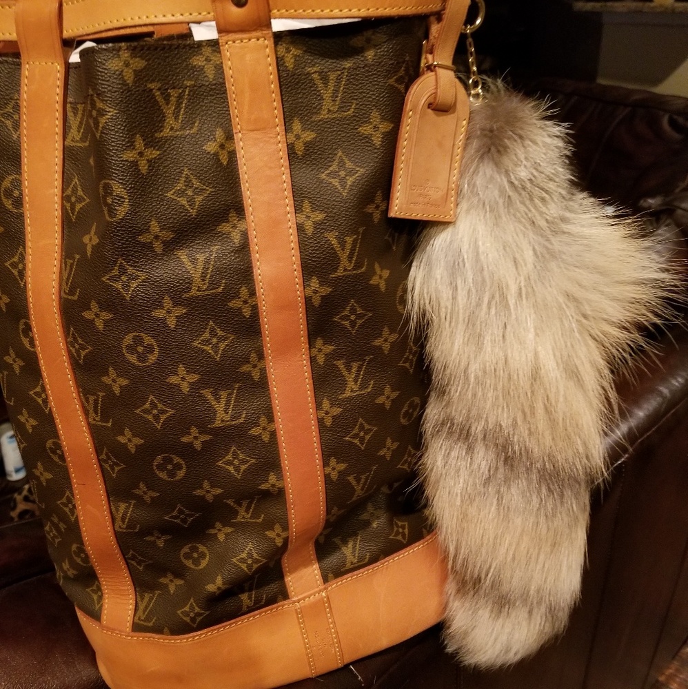 Louis Vuitton  backpack